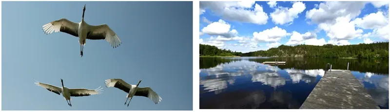 Parker och grönområden